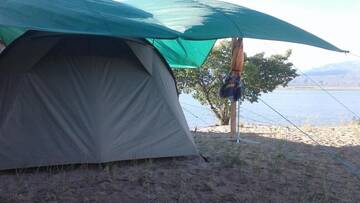 Фото номера Палатка (для 4 взрослых) Кемпинги Camping Issyk-Kul г. Rybpunkt 12