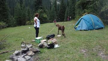 Фото номера Палатка (для 2 взрослых) Кемпинги Camping Issyk-Kul г. Rybpunkt 2